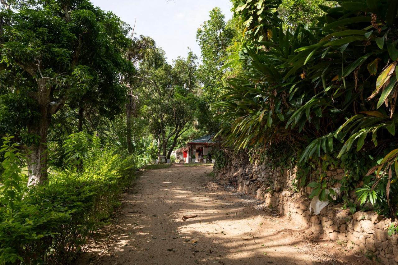 Roseland Cottages Bandarawela Ngoại thất bức ảnh