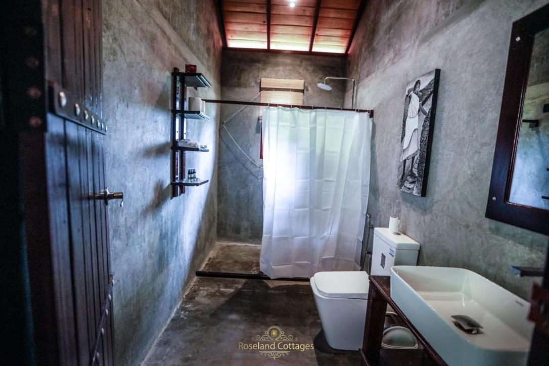 Roseland Cottages Bandarawela Ngoại thất bức ảnh
