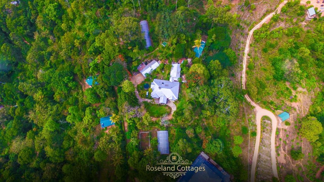 Roseland Cottages Bandarawela Ngoại thất bức ảnh