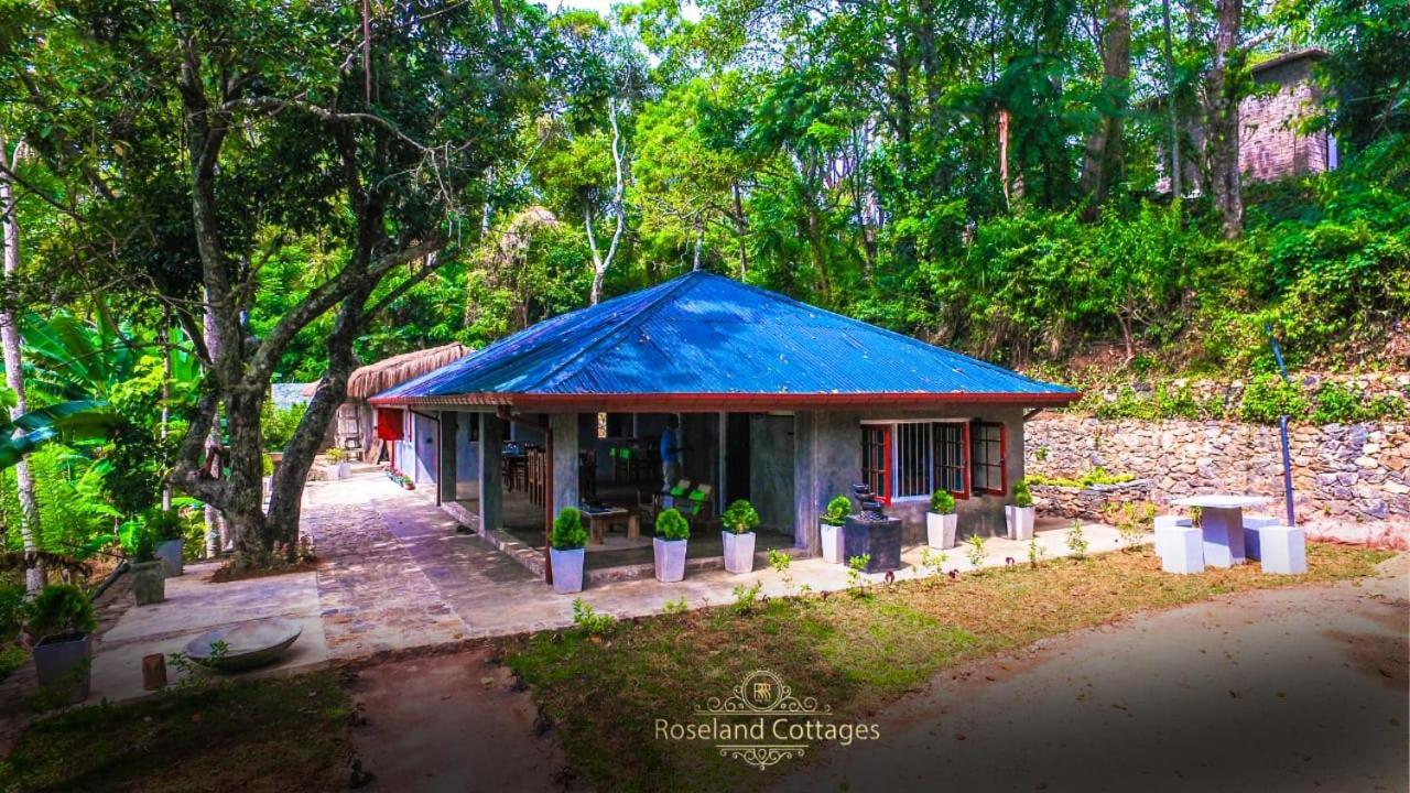 Roseland Cottages Bandarawela Ngoại thất bức ảnh