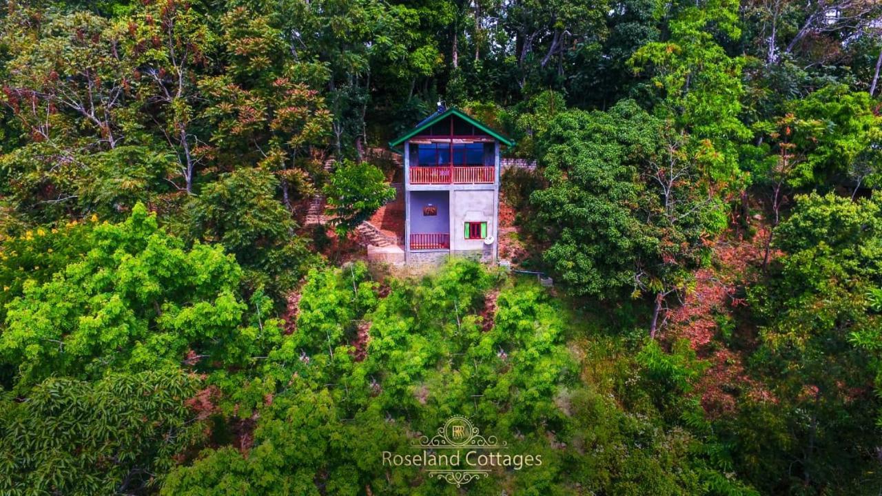 Roseland Cottages Bandarawela Ngoại thất bức ảnh