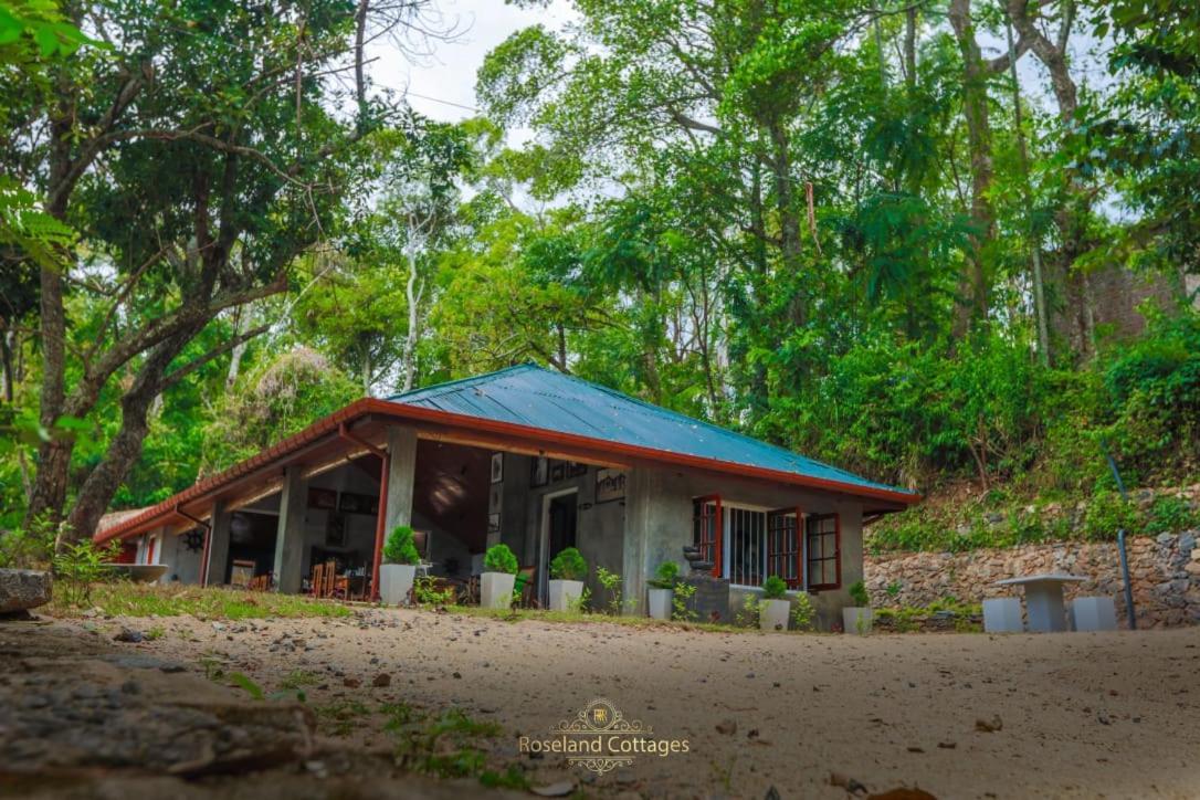 Roseland Cottages Bandarawela Ngoại thất bức ảnh