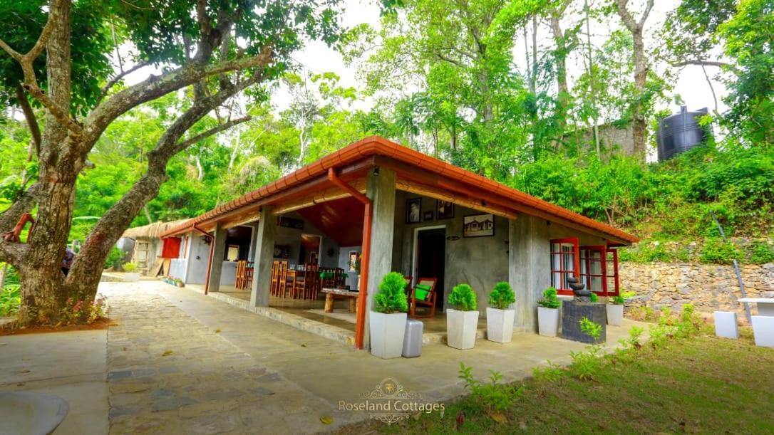 Roseland Cottages Bandarawela Ngoại thất bức ảnh